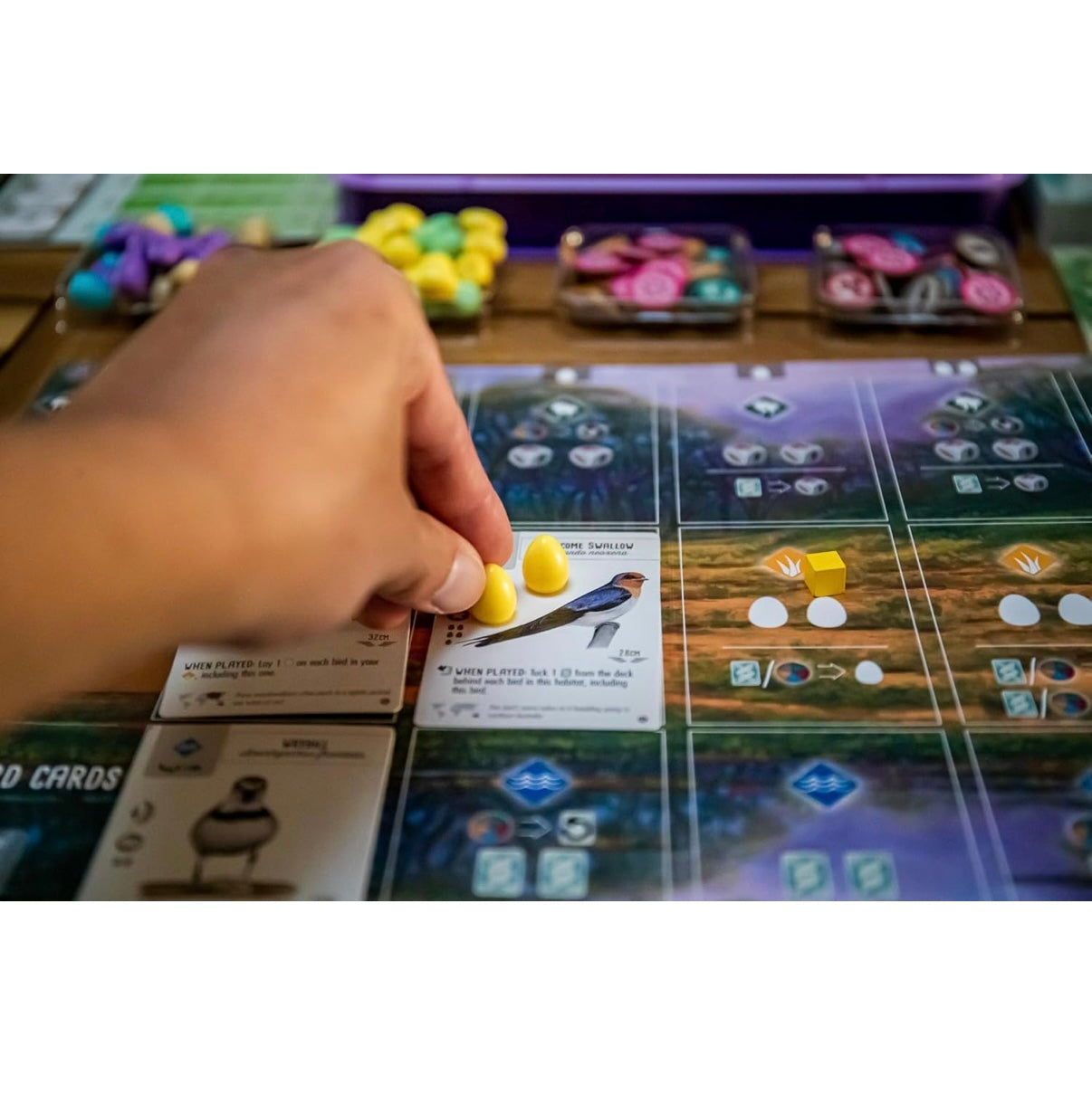 Wingspan: Oceania Expansion