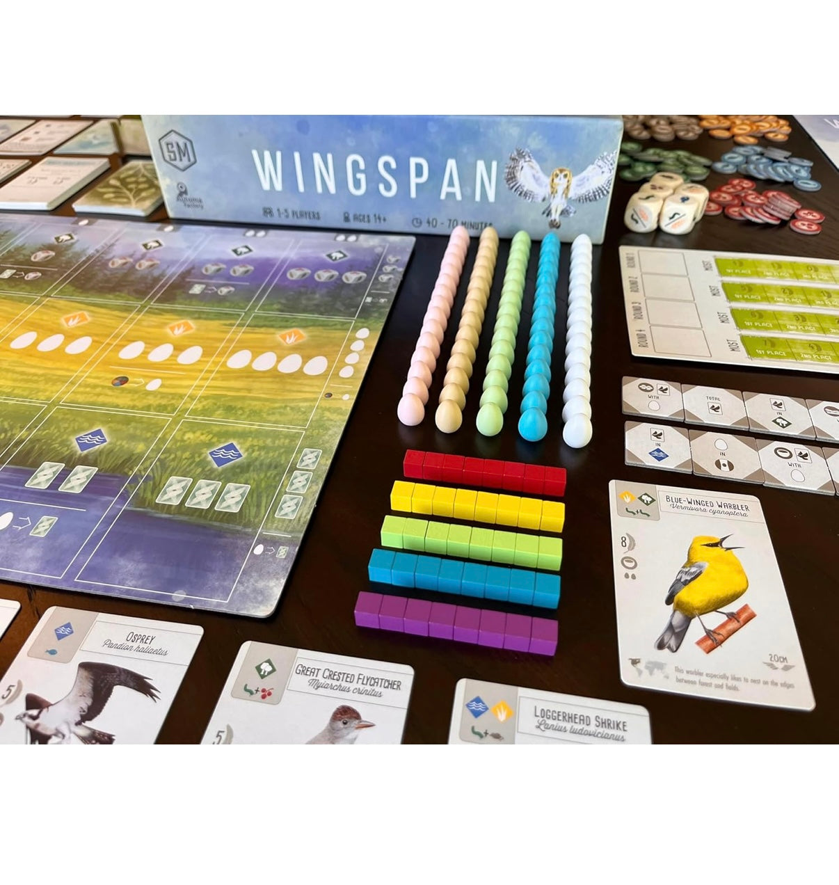 Wingspan