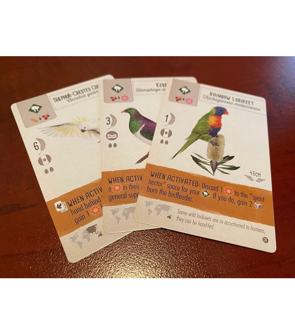 Wingspan: Oceania Expansion