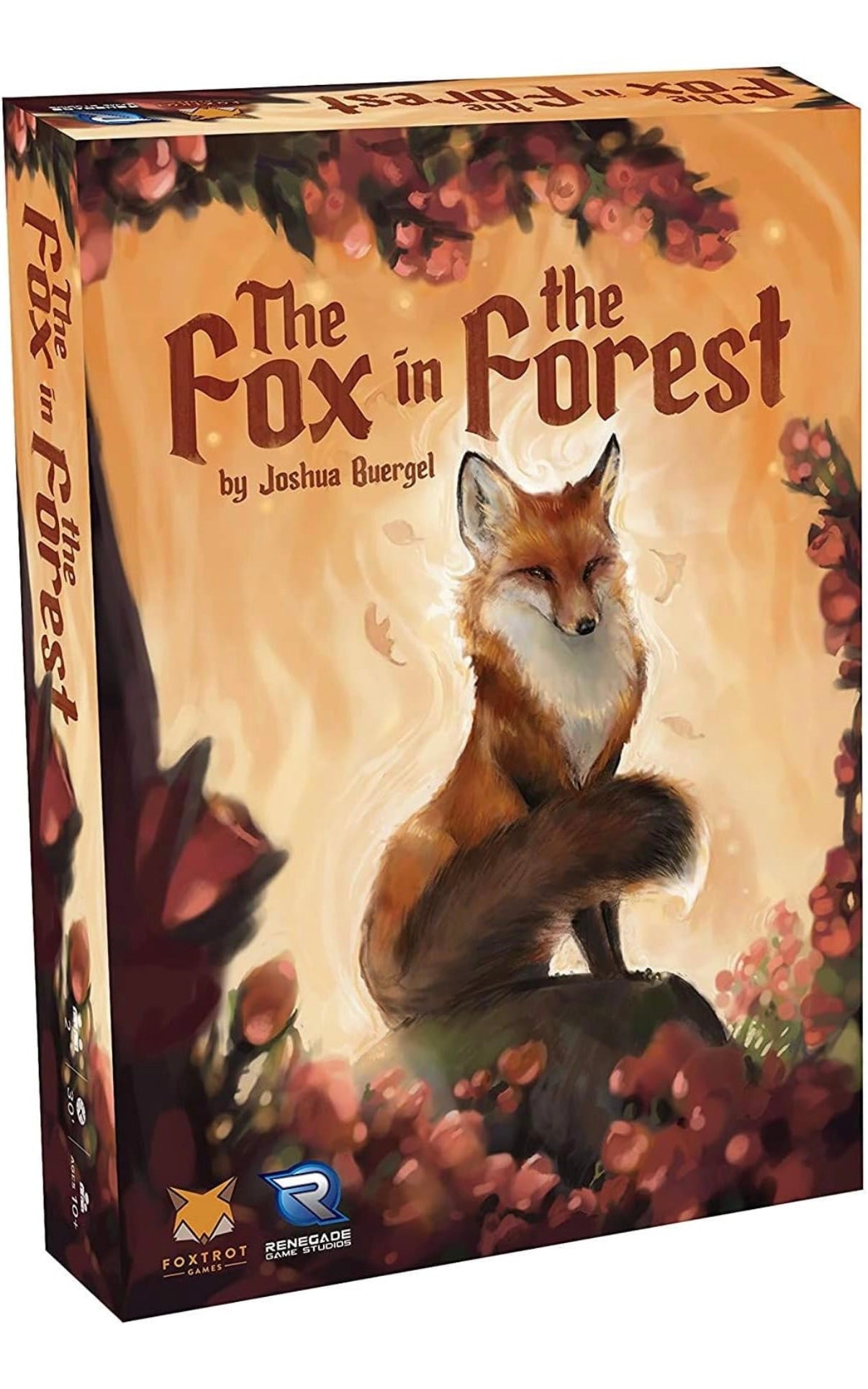 The fox in the forest