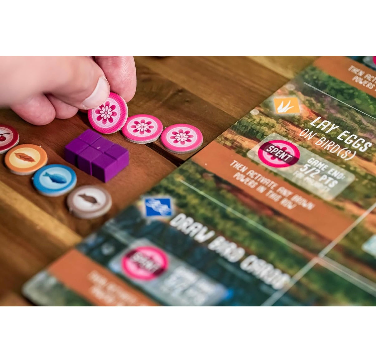 Wingspan: Oceania Expansion